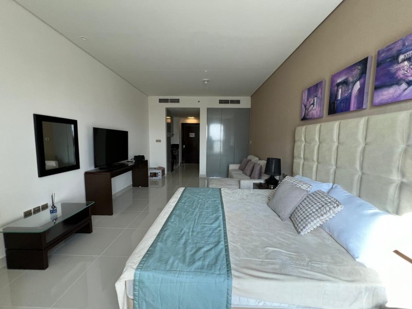 Fully Furnished Studio | Ready to Move | Chiller Free-8